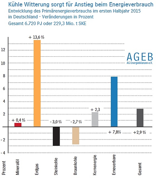 Energiemix und Primärenergieverbrauch im 1. Halbjahr 2015