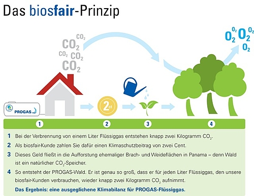 Projekt "biosfair"