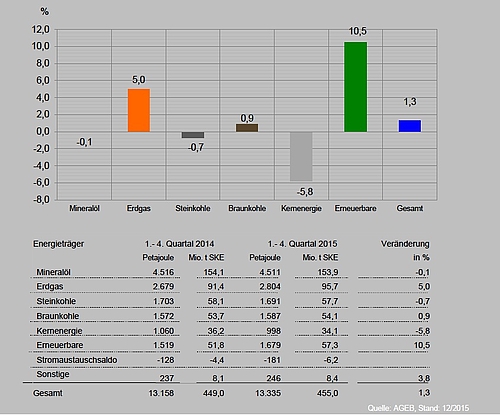 Primärenergieverbrauch Januar - Dezember 2015